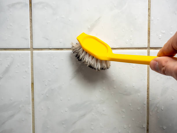 Best Black Mold Remediation in Brookridge, FL