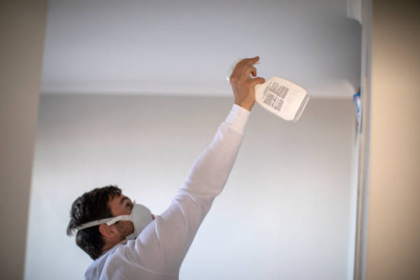 Best Emergency Mold Remediation in Brookridge, FL